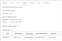 Image of the custom report prompts tab.